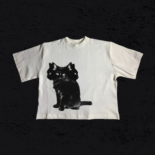 Three cat Boxi