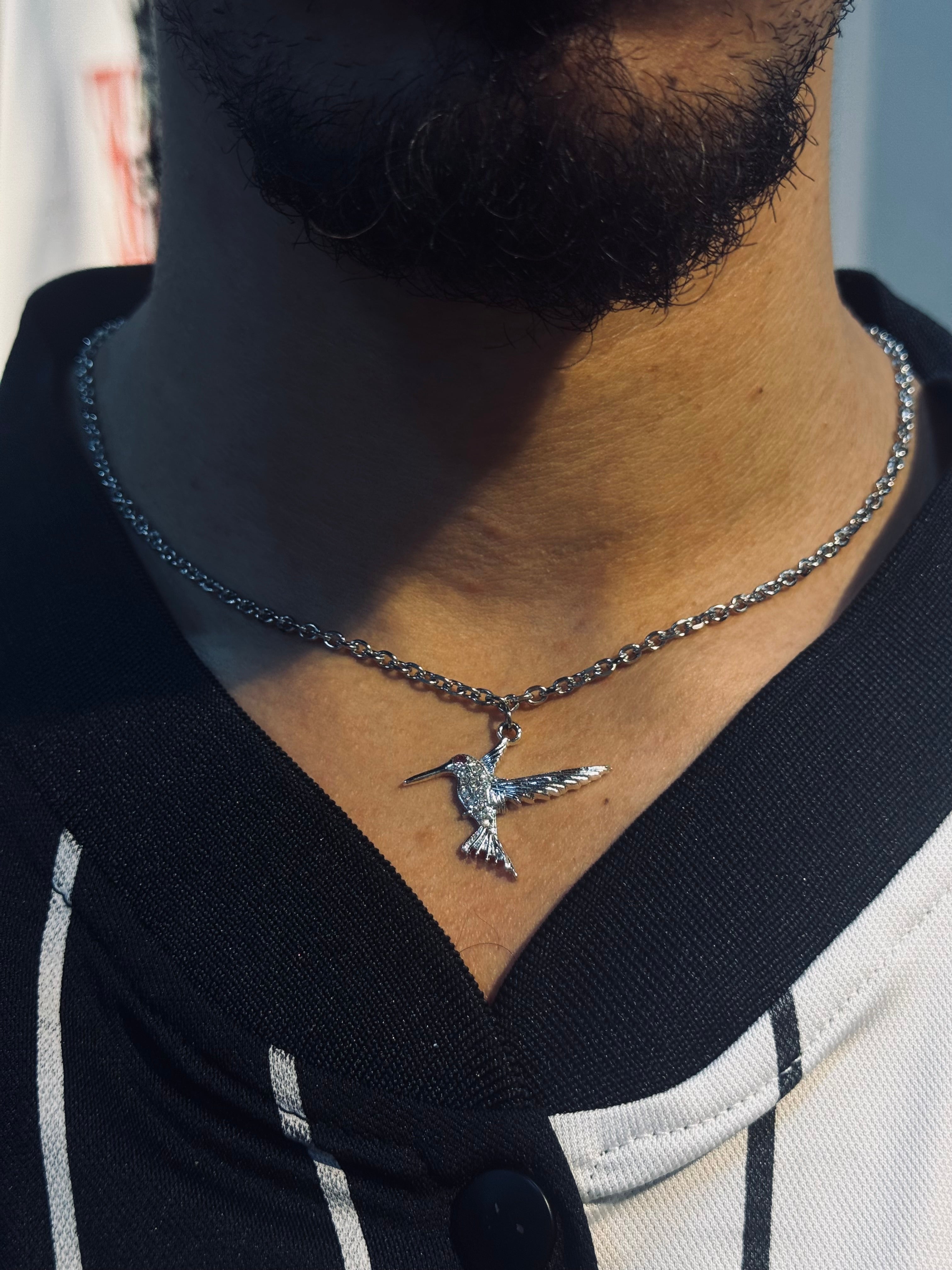 Bird